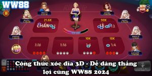 Công thức xóc dĩa 3D - Dễ dàng thắng lợi cùng WW88 2024