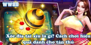 Xóc đĩa tài xỉu là gì? Cách chơi hiệu quả dành cho tân thủ