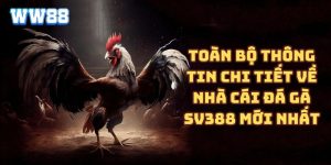 Toàn bộ thông tin chi tiết về nhà cái đá gà SV388 mới nhất